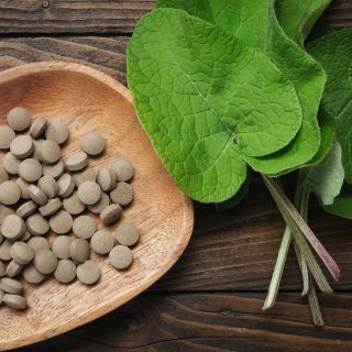  Ekstrakt z korzenia łopianu 